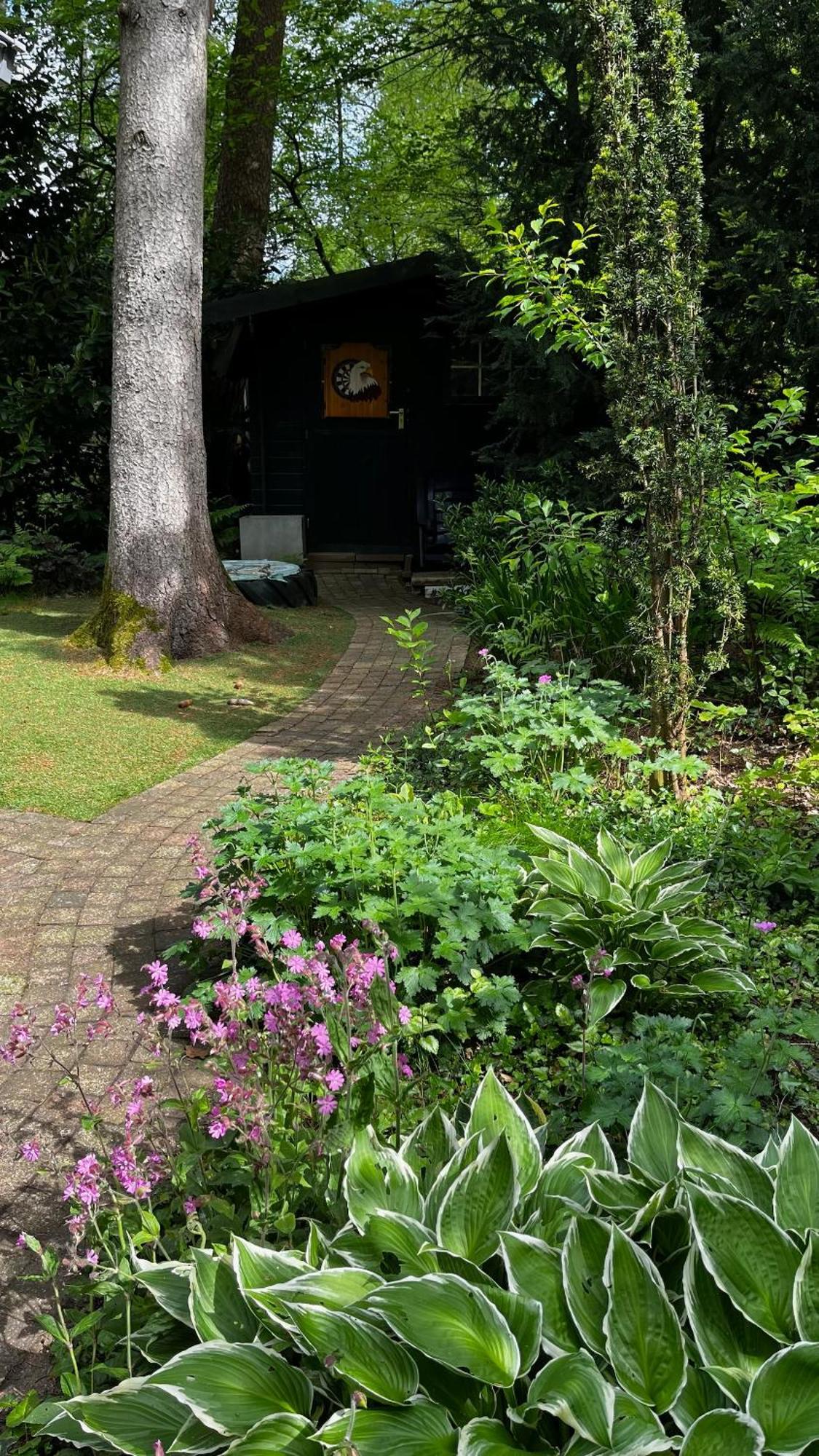 Dreamwoodz - Een Droomchalet Op De Veluwe Laag-Soeren Exterior photo