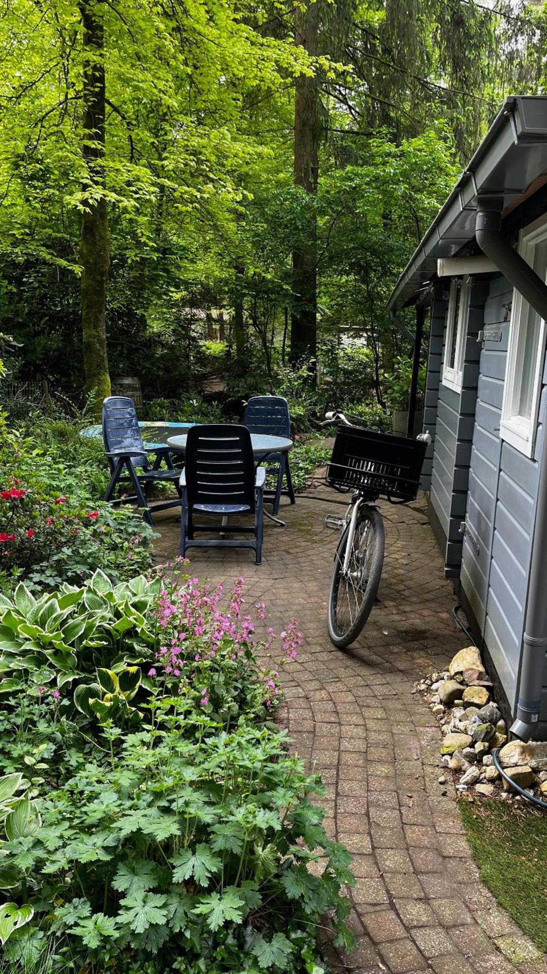 Dreamwoodz - Een Droomchalet Op De Veluwe Laag-Soeren Exterior photo